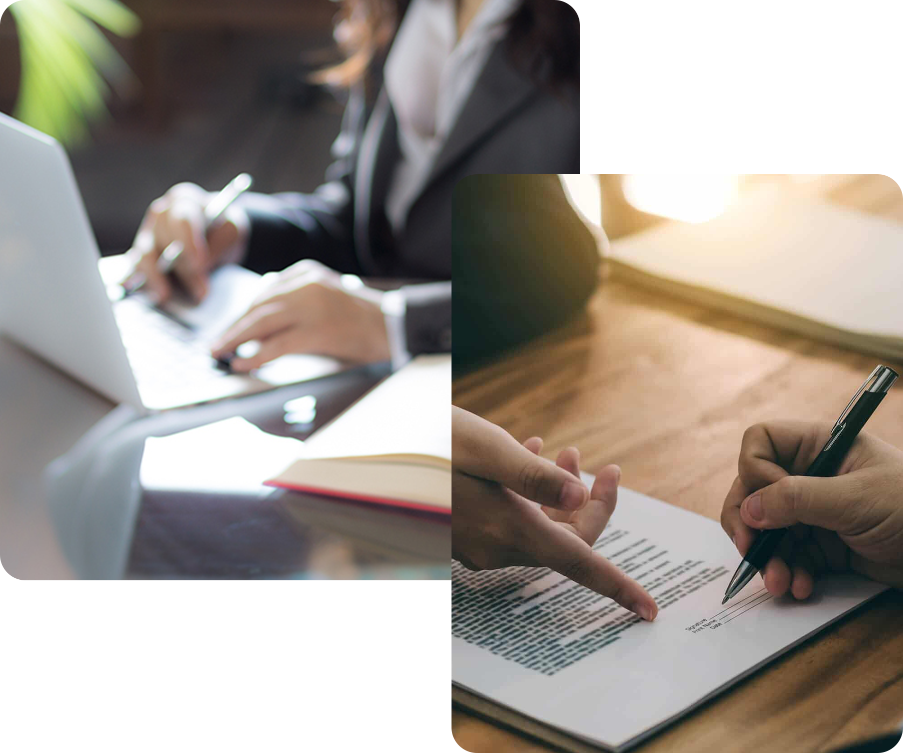 Immagration Lawyer comp 1